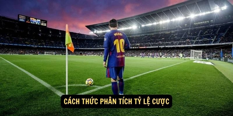 Cách thức phân tích tỷ lệ cược